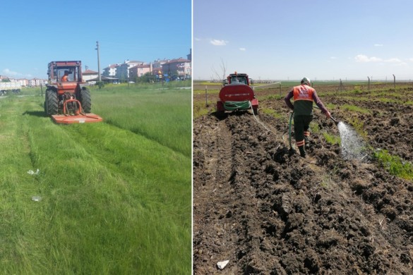 Çim biçme ve bakım çalışmalarımız devam ediyor