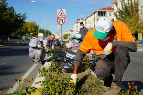 Park ve yollardaki otlar temizleniyor