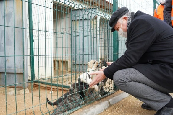 Başkan Gerenli kısıtlamada da sahada