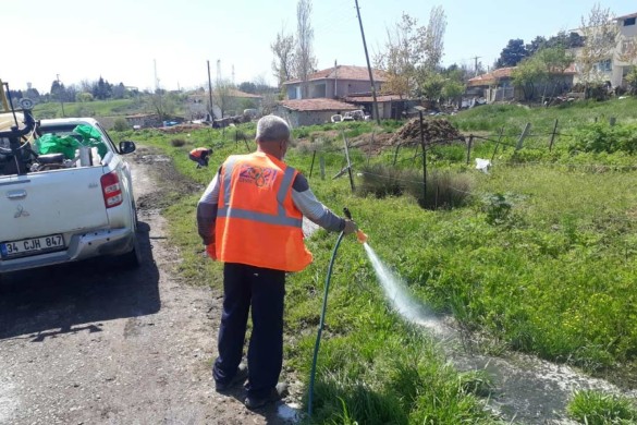 Kronomid sineklerle kaynağında mücadele